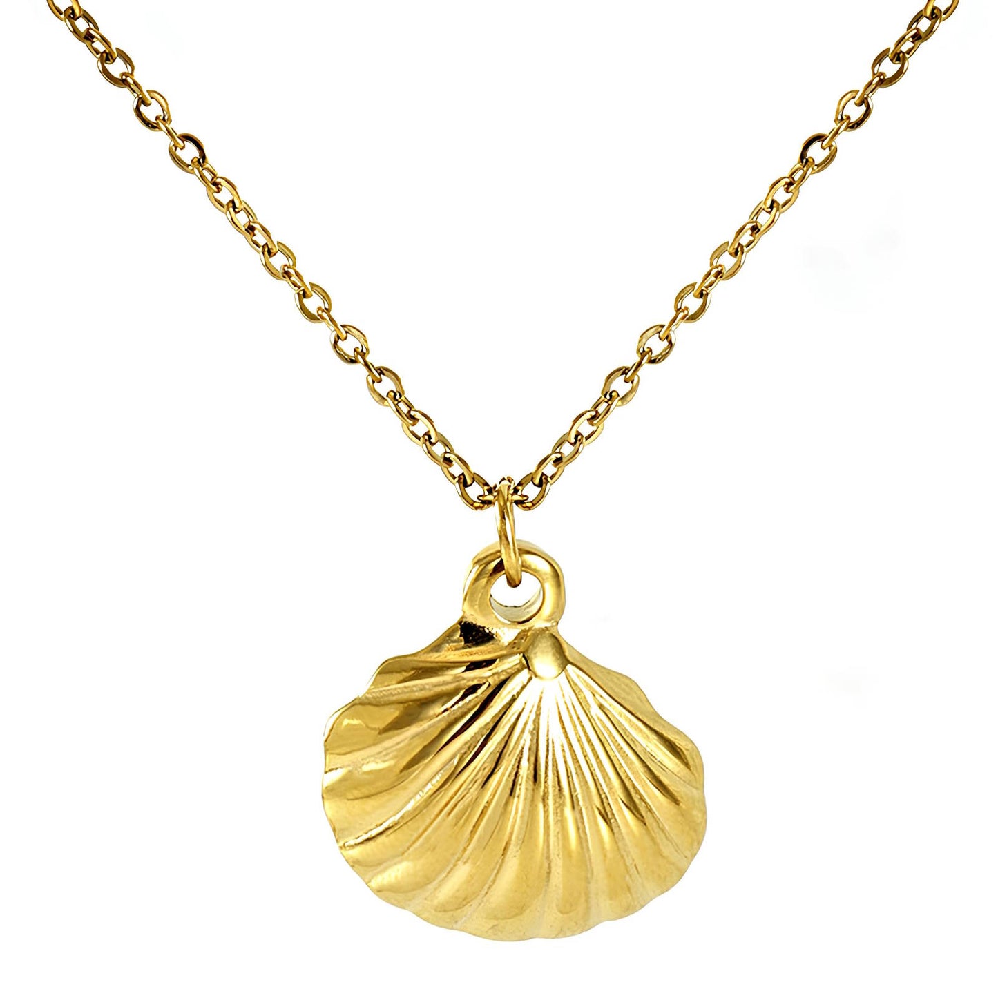 18K gold plated Stainless steel  Seashells necklace, Mashalla